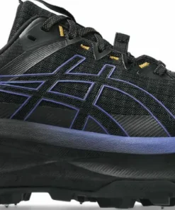 Asics Men's Fujisetsu Max GORE-TEX Black/Dark Cobalt