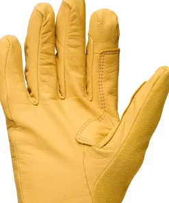 Black Diamond Tour Lt Gloves Beeswax-black