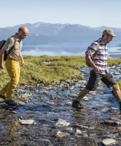 Fjällräven Men's Abisko Shorts Buckwheat Brown