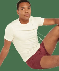 Icebreaker Men's Anatomica Shortsleeve Crewe Undyed