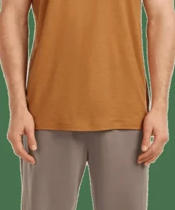 Icebreaker Men's Merino 150 Tech Lite Ss Tee Evolving Layers Trail