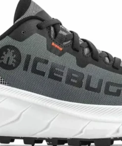Icebug Men's Arcus 2 BUGrip GORE-TEX Grey