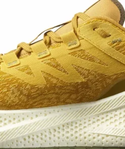 Salomon Men's Aero Glide 3 Grvl Spicy Mustard/vanilla Ice/deep Lich