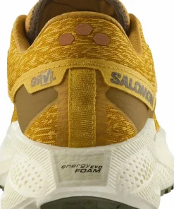 Salomon Men's Aero Glide 3 Grvl Spicy Mustard/vanilla Ice/deep Lich