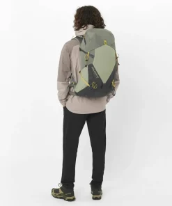 Salomon Men's Outerpath Pro 2,5 L Etherea/Iron