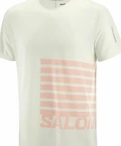 Salomon Men's Sense Aero Graphic Tee GFX Icicle/Neon Flame