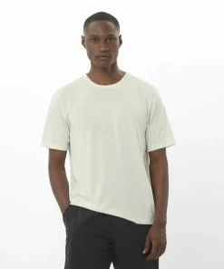 Salomon Men's Shkout Core Short Sleeve Tee Icicle