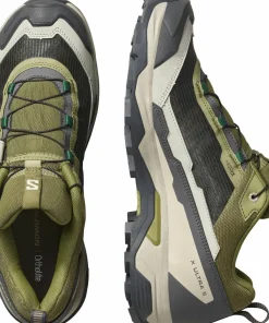 Salomon Men's X Ultra 5 Aloe/asphalt/eden