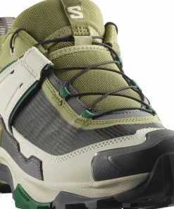 Salomon Men's X Ultra 5 Aloe/asphalt/eden