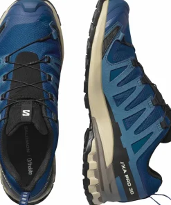 Salomon Men's XA 3D Pro V9 GORE-TEX Poseidon/white Pepper/falcon